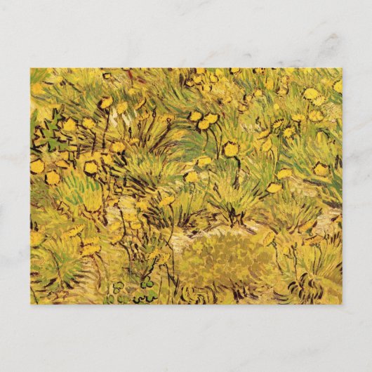 ヴィンセント・ヴァン・ゴッホの黄色い花畑 ポストカード (正面)