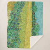 ヴィンセント・ヴァン・ゴッホ – アレス近郊のアイリスとのフィールド シェルパブランケット (正面)