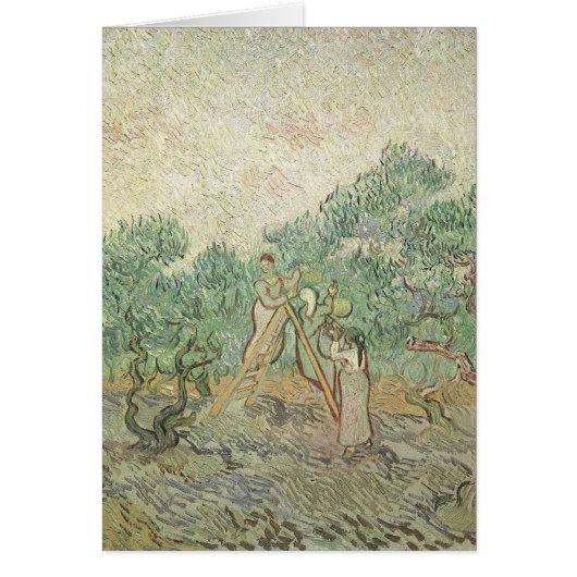 ヴィンセント・ヴァン・ゴッホ - オリーブの収穫 (正面)