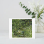 ヴィンセント・ヴァン・ゴッホ・グラスの塊 ポストカード (スタンド正面)