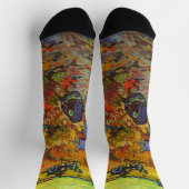 ヴィンセント・ヴァン・ゴッホ – ザ・レッド・ヴィネヤード ソックス (上部)