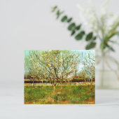 ヴィンセント・ヴァン・ゴッホ ポストカード (スタンド正面)