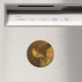 ヴィンセント・ヴァン・ゴッホ - 緑のオウムの静物 マグネット (インサイチュ (食洗機))