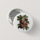 ヴィンテージいちじくの枝の植物画 缶バッジ (正面&裏面)