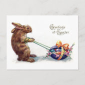 ヴィンテージうさぎイースター卵を引く シーズンポストカード (正面)