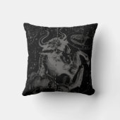 ヴィンテージうら座バイヘベリアス クッション (裏面)