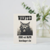 ヴィンテージおもしろいがポスター・シュレディナーの猫を募集 ポストカード (スタンド正面)