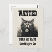 ヴィンテージおもしろいがポスター・シュレディナーの猫を募集 ポストカード (正面/裏面)