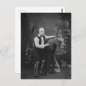 ヴィンテージおもしろいと馬の写真 ポストカード (正面/裏面)