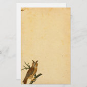 ヴィンテージおもしろいのフクロウパーチメント紙 便箋 (正面/裏面)