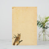 ヴィンテージおもしろいのフクロウパーチメント紙 便箋 (スタンド正面)