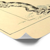 ヴィンテージおもしろいカニップ猫 ポスター (角)