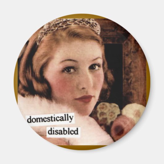 ヴィンテージおもしろい磁石 マグネット (正面)