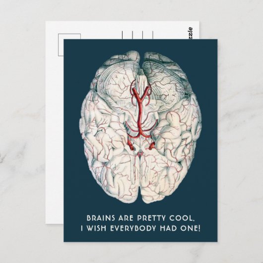 ヴィンテージおもしろい脳「誰もがそれを持っていればいいのに」 ポストカード (正面/裏面)