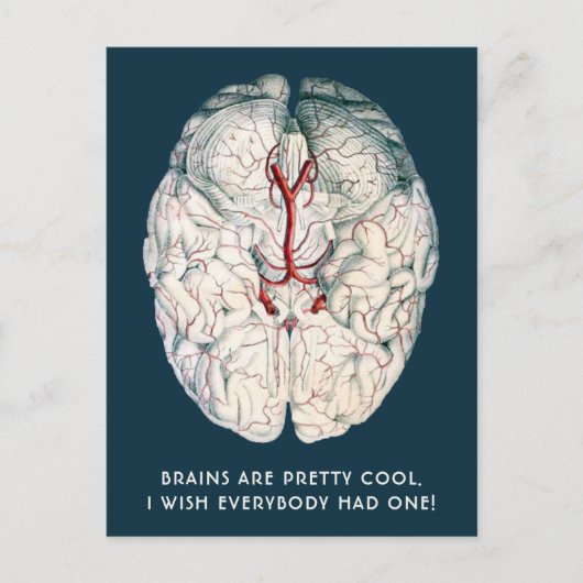 ヴィンテージおもしろい脳「誰もがそれを持っていればいいのに」 ポストカード (正面)
