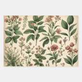 ヴィンテージお洒落植物性フローラスケッチ ラッピングペーパーシート (正面3)