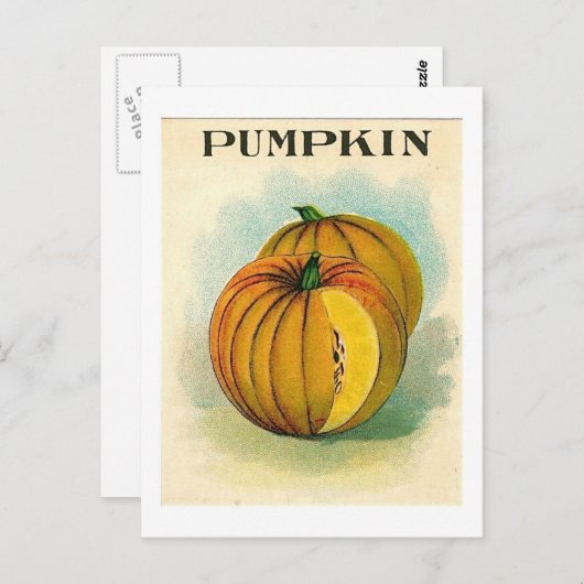 ヴィンテージかぼり種子パケットのはがき ポストカード (正面/裏面)