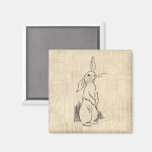 ヴィンテージかわいいウサギのアートスクリプト背景 マグネット (正面/裏面)