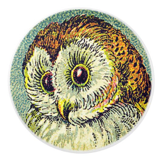 ヴィンテージかわいいバーヌークスターリーナイトイラストレーション セラミックノブ (正面)