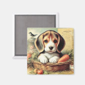 ヴィンテージかわいいビーグルパピー マグネット (正面/裏面)