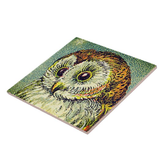 ヴィンテージかわいいフクロウイラストレーション タイル (側面)