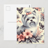ヴィンテージかわいいマルチーズイラストレーション ポストカード (正面/裏面)
