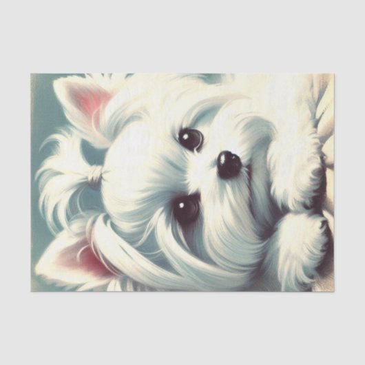 ヴィンテージかわいいマルチーズ絵画ズ 薄葉紙 (正面)
