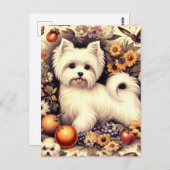 ヴィンテージかわいいマルチーズ ポストカード (正面/裏面)