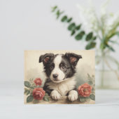 ヴィンテージかわいい子犬縁どポートレートコリーバラ犬 ポストカード (スタンド正面)