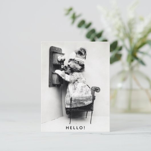 ヴィンテージかわいい犬こんにちは ポストカード (スタンド正面)