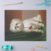 ヴィンテージかわいい白犬ポートレート 薄葉紙 (クラフト)