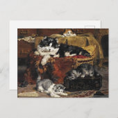 ヴィンテージかわいい黒猫と子猫 ポストカード (正面/裏面)