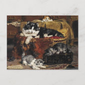 ヴィンテージかわいい黒猫と子猫 ポストカード (正面)