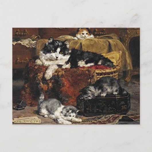 ヴィンテージかわいい黒猫と子猫 ポストカード (正面)