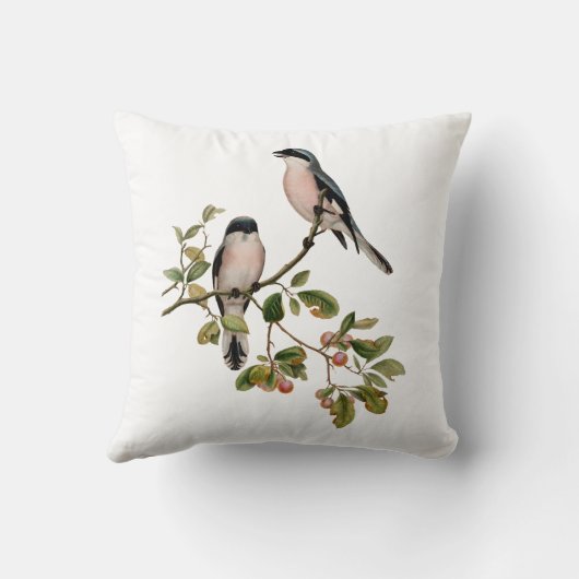 ヴィンテージかわいらしの鳥が枝の上に クッション (裏面)