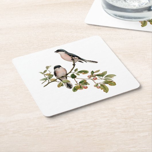 ヴィンテージかわいらしの鳥が枝の上に スクエアペーパーコースター (アングル)