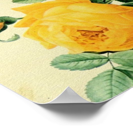 ヴィンテージかわいらしイエローローズスクエアクロップ ポスター (角)