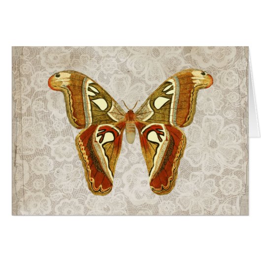 ヴィンテージかわいらしガ植物用グリーティングカード (正面横)