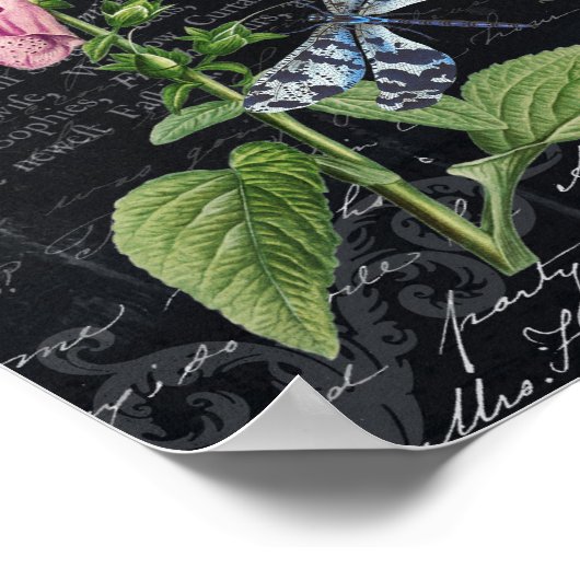 ヴィンテージかわいらしフラワー&バタフライ植物学 ポスター (角)