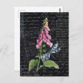 ヴィンテージかわいらしフラワー&バタフライ植物学 ポストカード (正面/裏面)