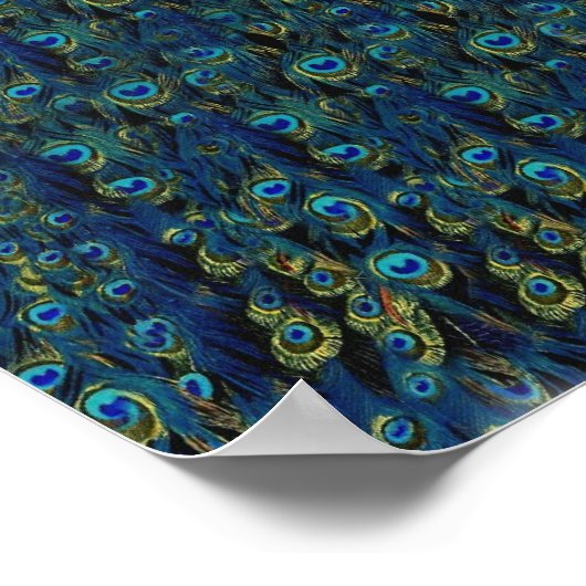 ヴィンテージかわいらし孔雀の鳥羽壁紙 ポスター (角)