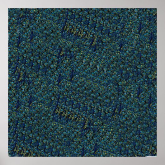 ヴィンテージかわいらし孔雀の鳥羽壁紙 ポスター (正面)