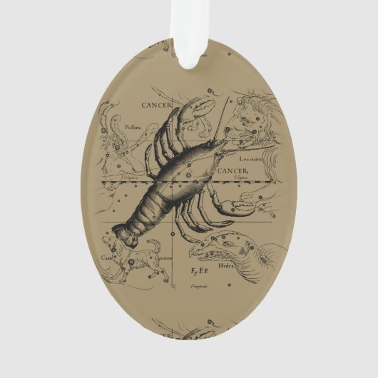 ヴィンテージがんコンステレーションマップHevelius 1690 オーナメント (裏面)
