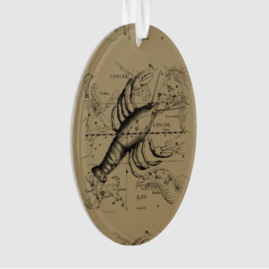 ヴィンテージがんコンステレーションマップHevelius 1690 オーナメント (正面)