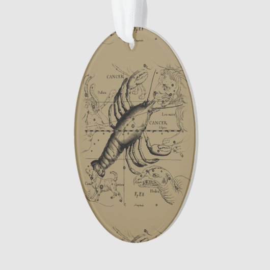 ヴィンテージがんコンステレーションマップHevelius 1690 オーナメント (正面)