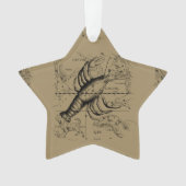 ヴィンテージがんコンステレーションマップHevelius 1690 オーナメント (正面)