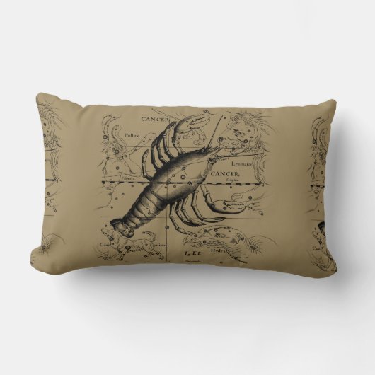 ヴィンテージがんコンステレーションマップHevelius 1690 ランバークッション (正面)