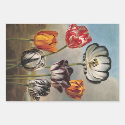 ヴィンテージが変化するチューリップが咲く景色 ラッピングペーパーシート (正面3)