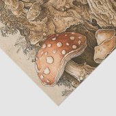 ヴィンテージきのこ植物図鑑 (1) 薄葉紙 (詳細)
