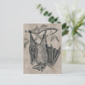 ヴィンテージこうもりはがき ポストカード (スタンド正面)